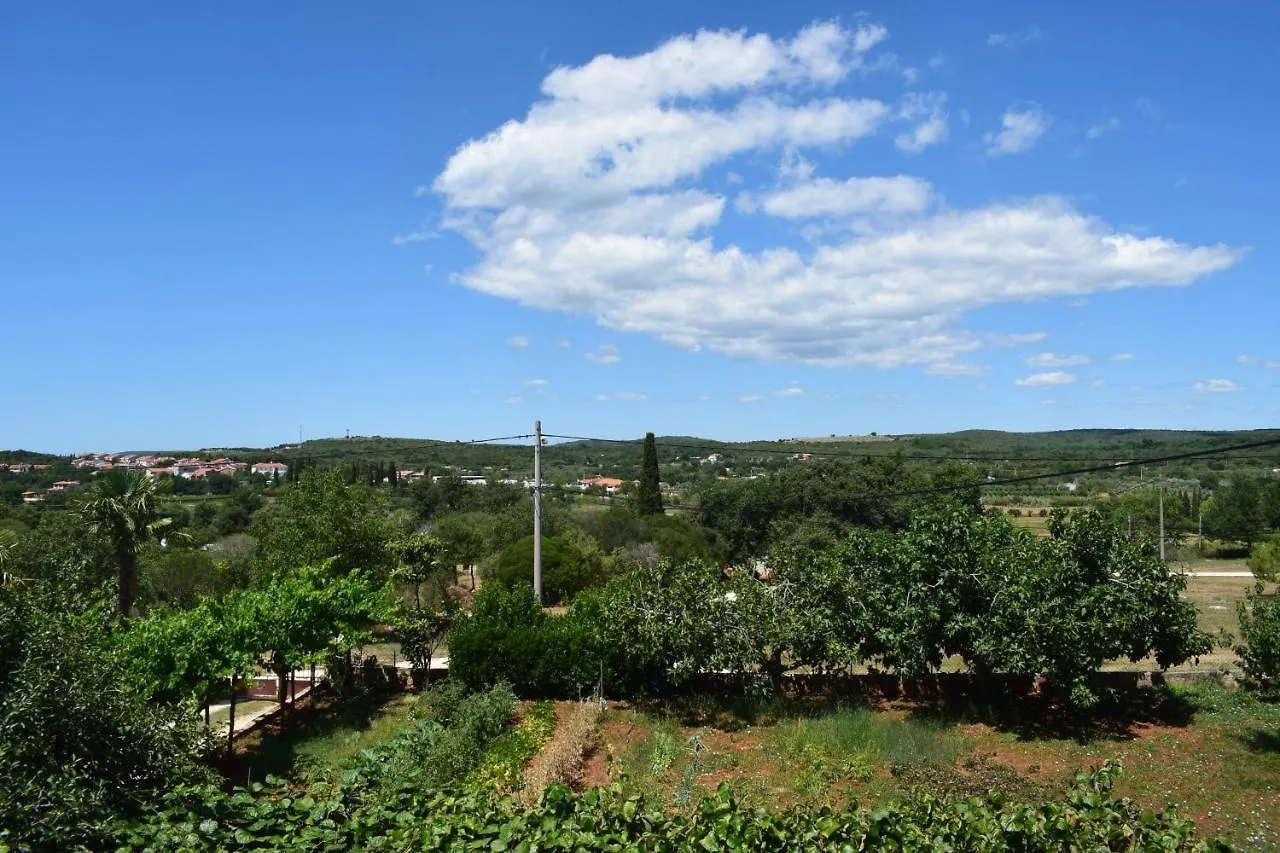 Nives Mare Holliday House Villa Rovigno Croazia