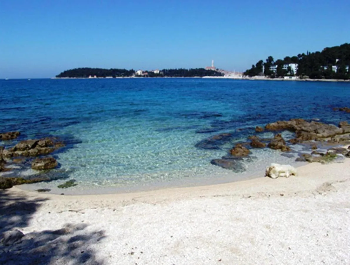 Nives Mare Holliday House Villa Rovigno 0*,  Croazia