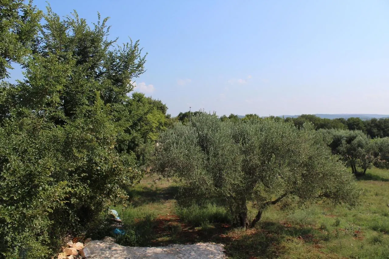 Nives Mare Holliday House Villa Rovigno